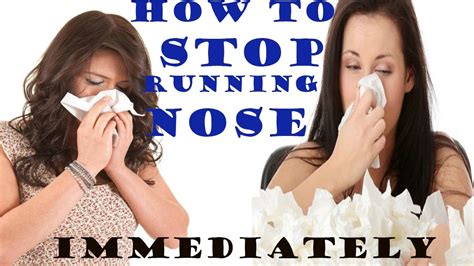 How to Stop Your Nose from Running in Class: An Unexpected Dive into Classroom Hygiene and Focus